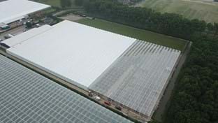 VDA Plant - 7.822 m²