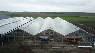 Maliepaard Bloembollen - 2.844 m²