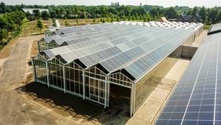 Hardeman - 2.815 m²