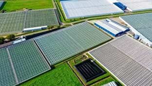 Ortolanda - Greenhouse relocation -  24.192 m²