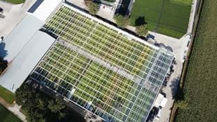 Kwekerij De Stadsweiden - Deck renovation - 4,000 m²