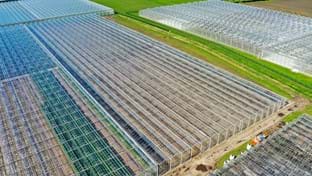 Klimplant CS - 12.803 m²