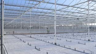 Pippel Bramen - 9.611 m²