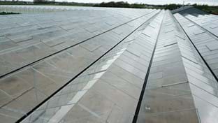 Aleven Boomverzorging - 8.276 m²