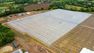 Berries Direct Farming - 64.560 m²