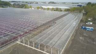 Kwekerij De Wintertuin - 3.131 m²