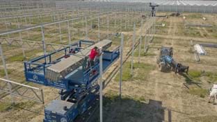 Coert van Dijk Roses - 25.206 m²