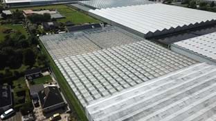 Kwekerij Maron - 10.137 m²