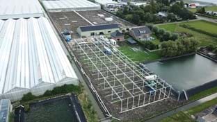 Kwekerij Maron - 10.137 m²