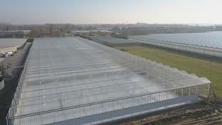 Pippel Bramen - 9.611 m²