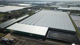 Luiten Kwekerij - Schermhal - 2.706 m²