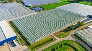 Ortolanda - Serre verplaatsing - 24.192 m²