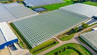 Ortolanda - Greenhouse relocation -  24.192 m²