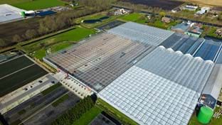 Protium - zonnepanelen - 13.478 m²