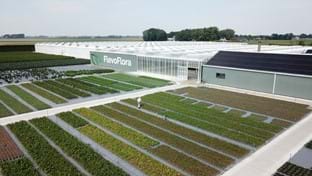 Flevo Flora - 5.755 m²