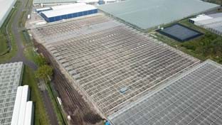 Ortolanda - Greenhouse relocation -  24.192 m²