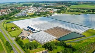 Ortolanda - Terrassenrenovierung - 6.000 m²