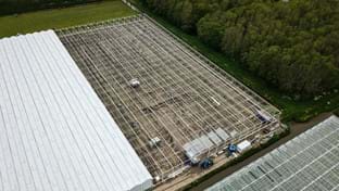 VDA Plant - 7.822 m²