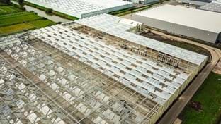 OTM Orchids - Serre renovatie - 15.702 m²