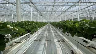 Neraco BVBA - 24.180 m²