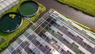 Hoogeveen - 6.025 m²