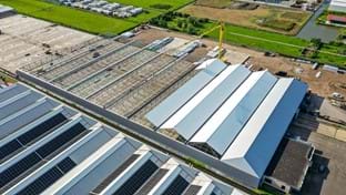 Aalsmeer - 20.025 m²