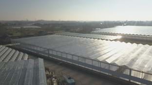 Pippel Bramen - 9.611 m²