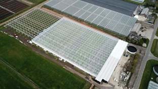 Drenthe Flowers - Phase 2 - 7.234 m²
