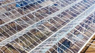 Vanda Flowers - 8.984 m²