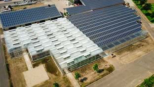 Hardeman - 2.815 m²