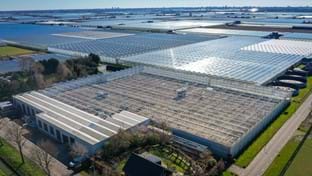 Brabander - Roof renovation - 8.503 m²
