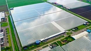 Vijverberg B.V. - Remplacer les tuyaux de chauffage - 83.312 m²