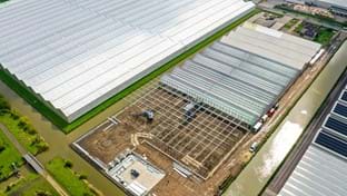 Flower Direct - Phase 1 - 4.096 m²