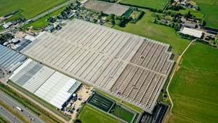 Schenkeveld – Terrassenrenovierung – 98.410 m²