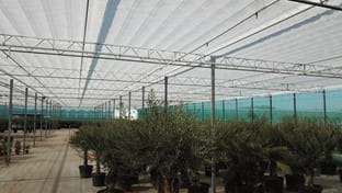 Luiten Kwekerij - Schermhal - 2.706 m²