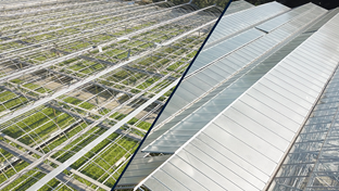 Kwekerij De Stadsweiden - Deck renovation - 4,000 m²