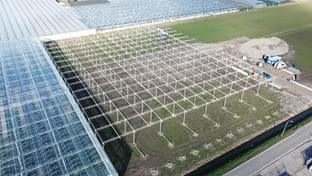 Plantenkwekerij André Van der Burg - Schermhal - 7.120 m²