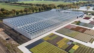 Kwekerij Maarten Bloemen - 9.331 m²