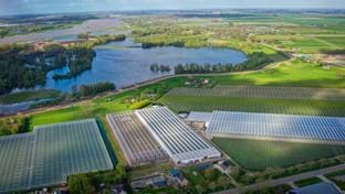 Pippel Bramen - Phase 2 - 7.577 m²